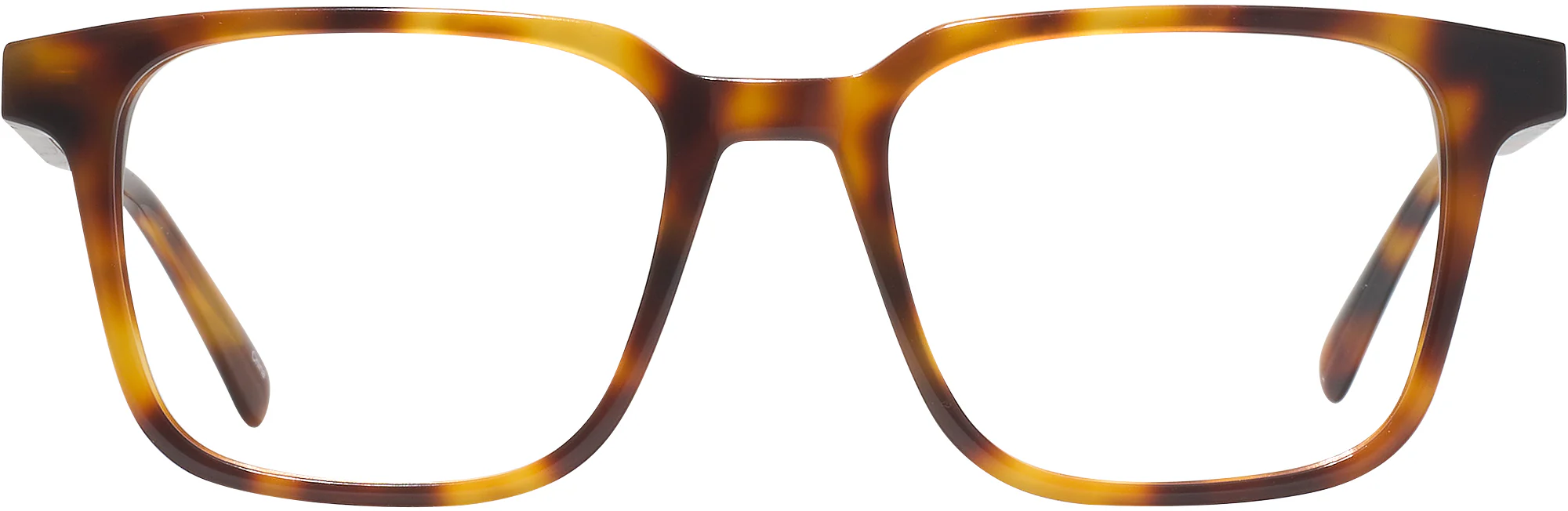 Seattle Eyeworks 1005 Progressive No-Lines - Image 6