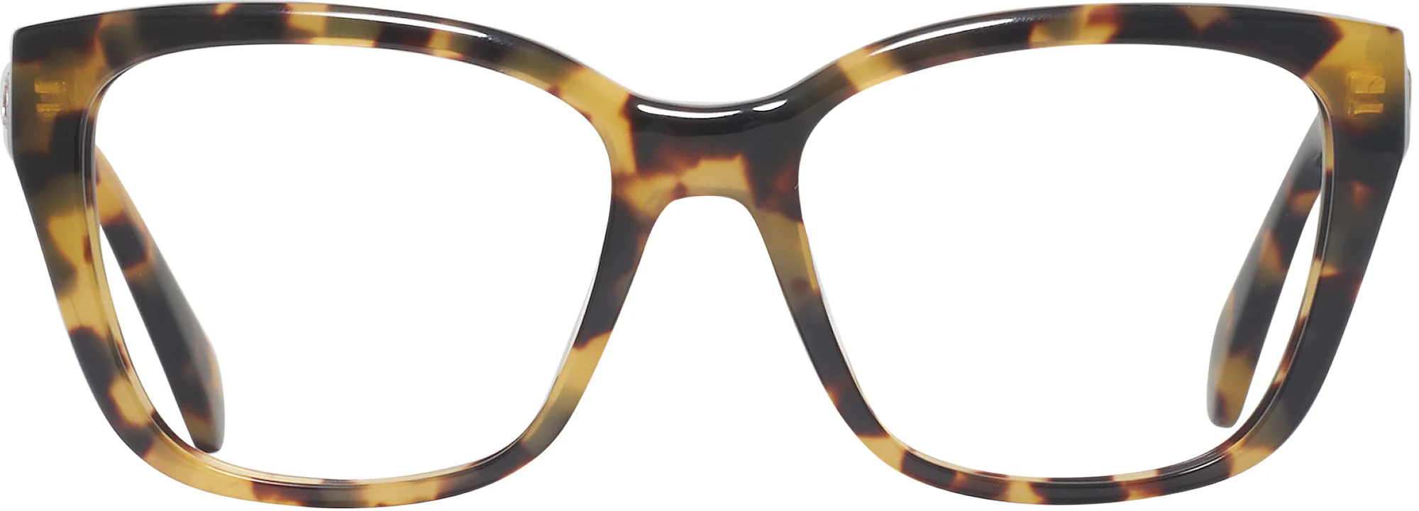 Swarovski 2008 Single Vision Full Frame - Image 34