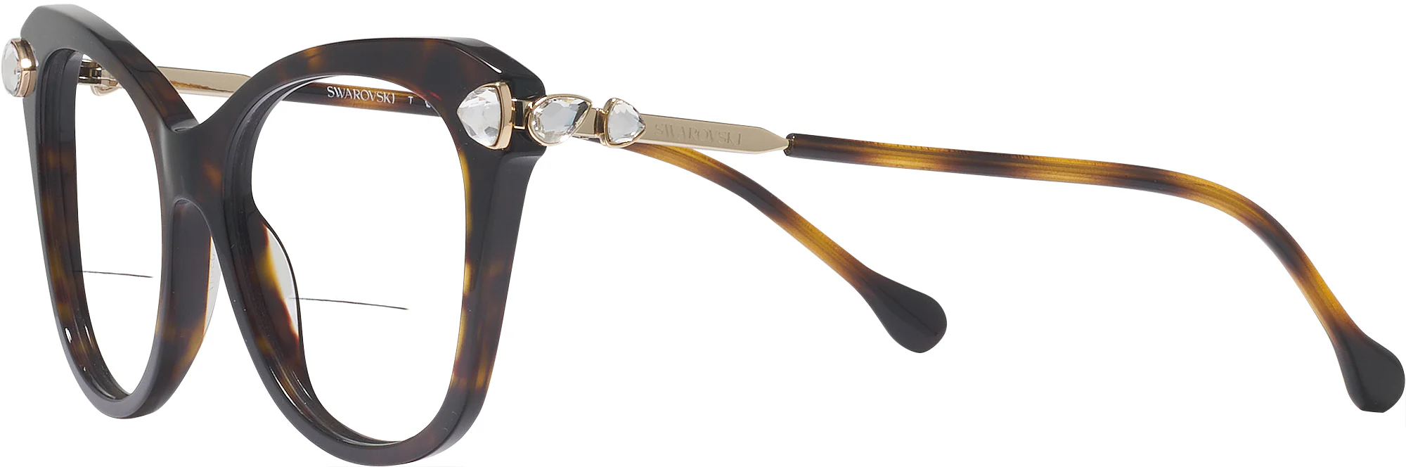 Swarovski 2012 Bifocal - Image 30