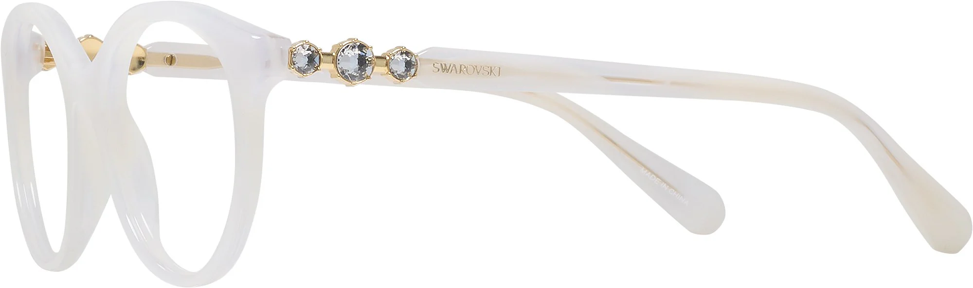 Swarovski 2019 Single Vision Full Frame - Image 17