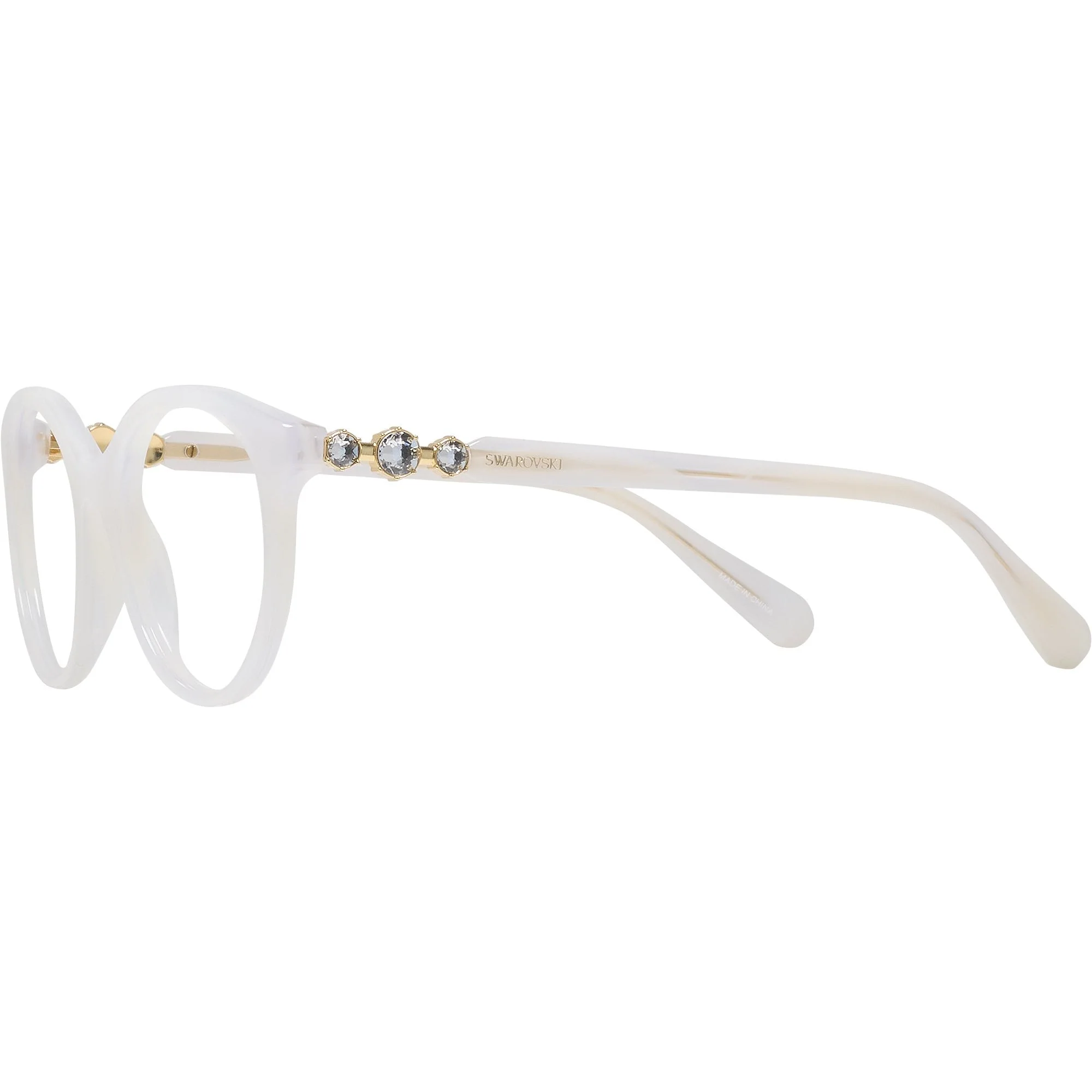 Swarovski 2019 Single Vision Full Frame - Image 25