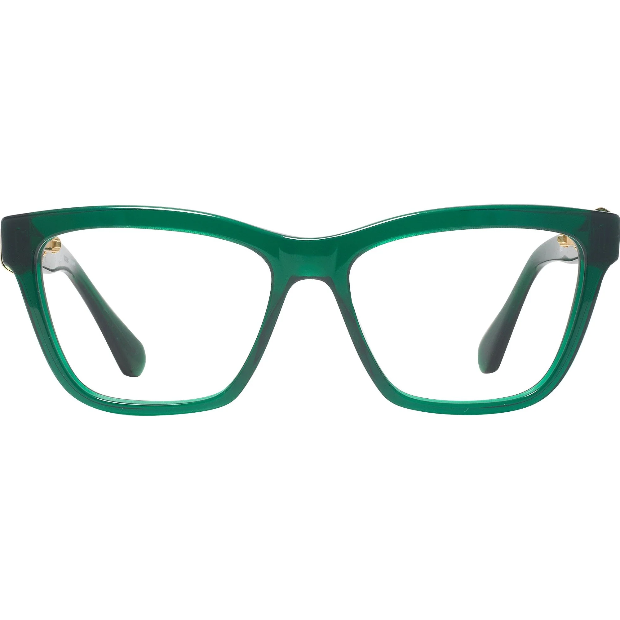Swarovski 2021 Single Vision Full Frame - Image 24