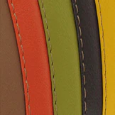 The Everything Striped Case - Leather - Image 41