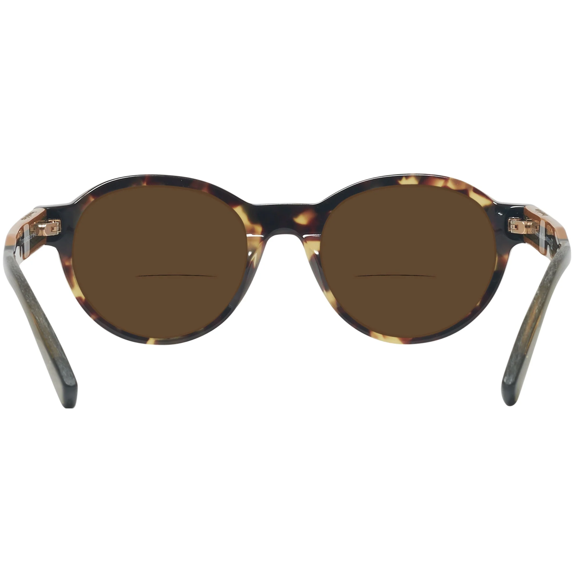 Zegna EZ0100 Bifocal Reading Sunglasses - Image 4