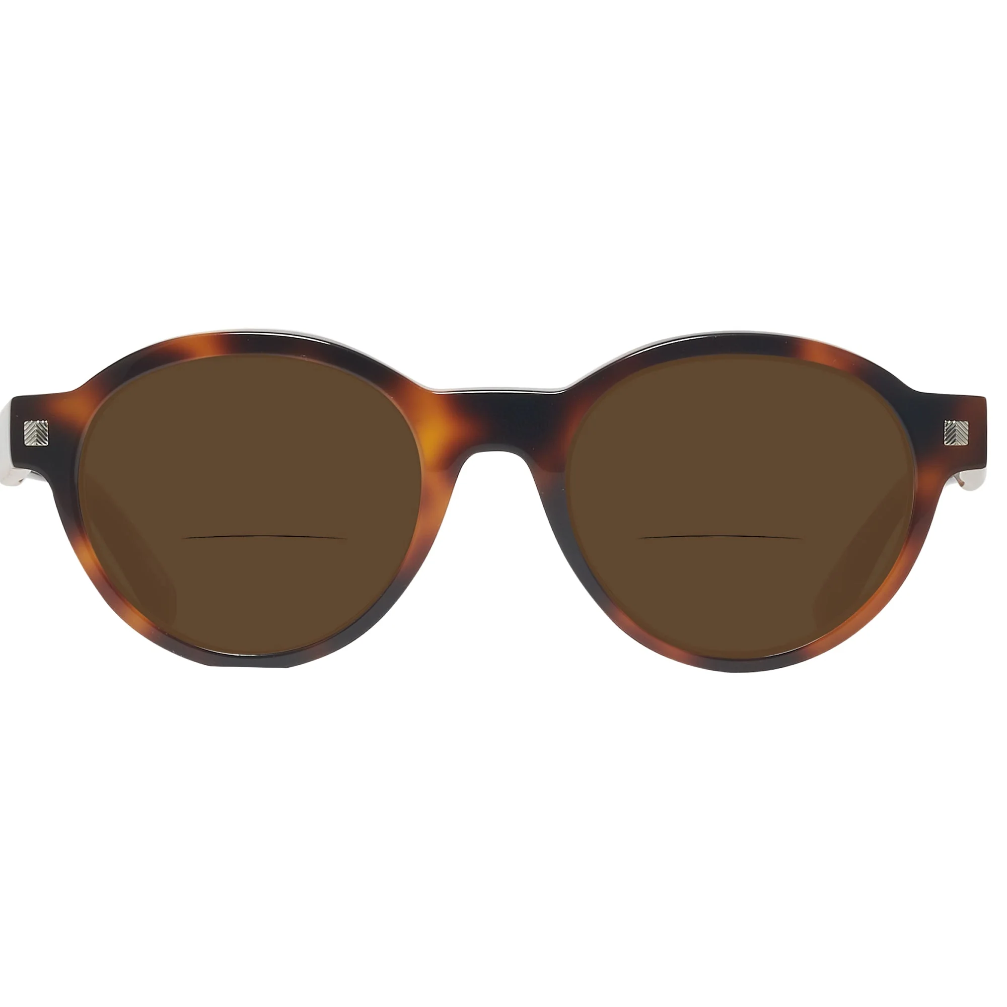 Zegna EZ0100 Bifocal Reading Sunglasses - Image 6