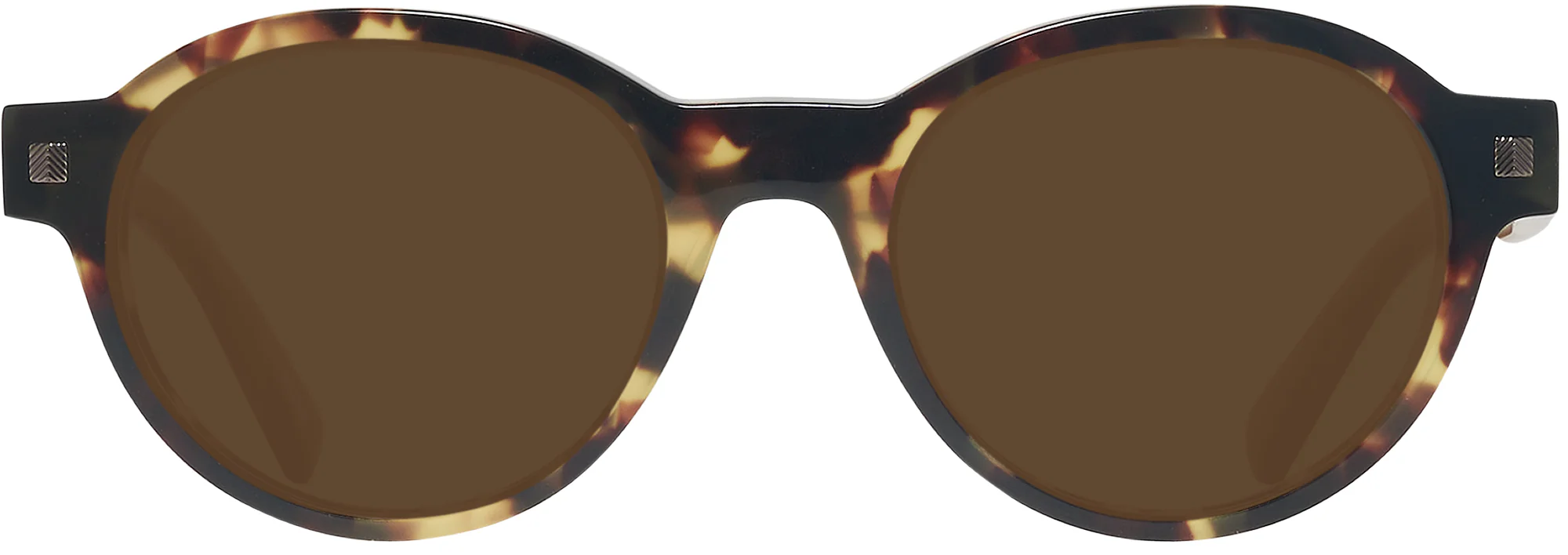 Zegna EZ0100 Progressive No Line Reading Sunglasses - Image 12