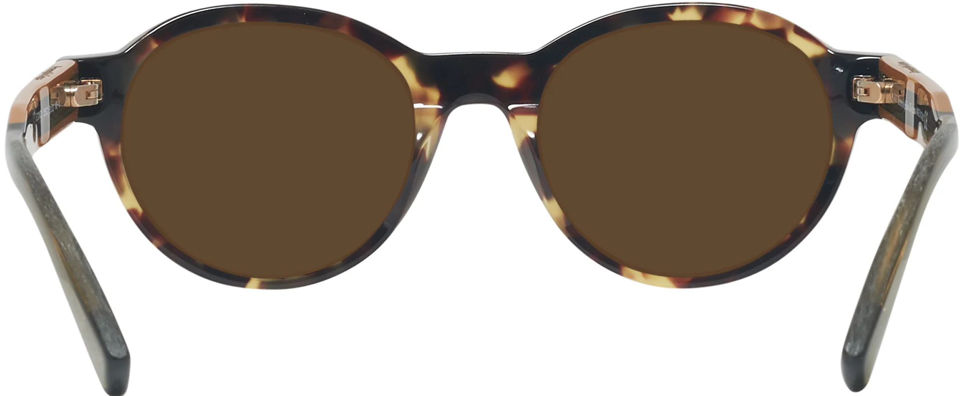 Zegna EZ0100 Progressive No Line Reading Sunglasses - Image 14