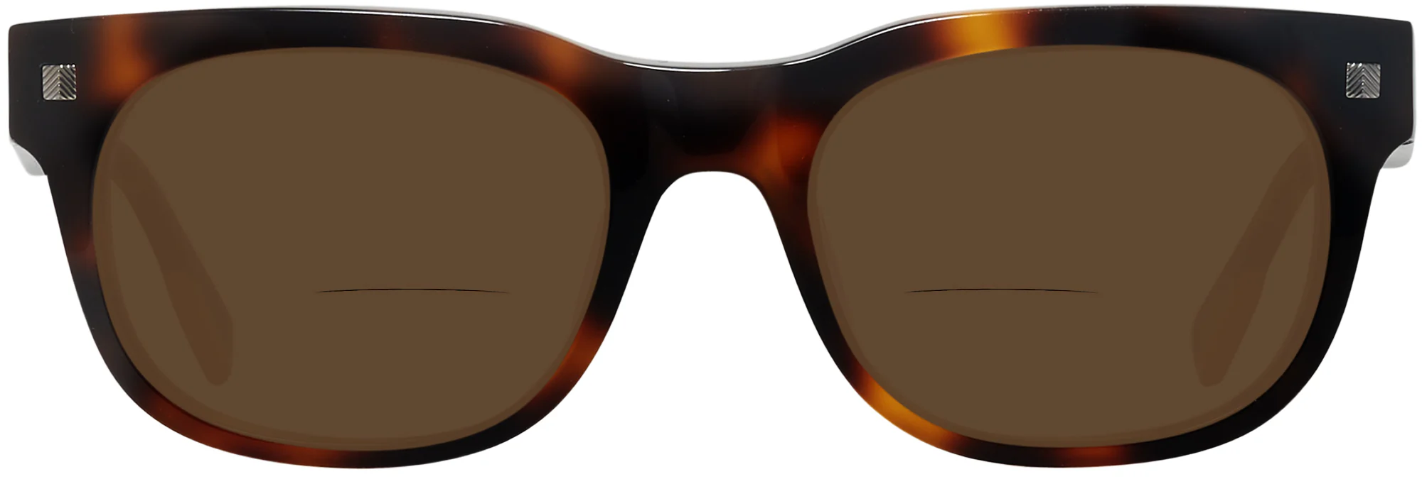 Zegna EZ0101 Bifocal Reading Sunglasses - Image 16
