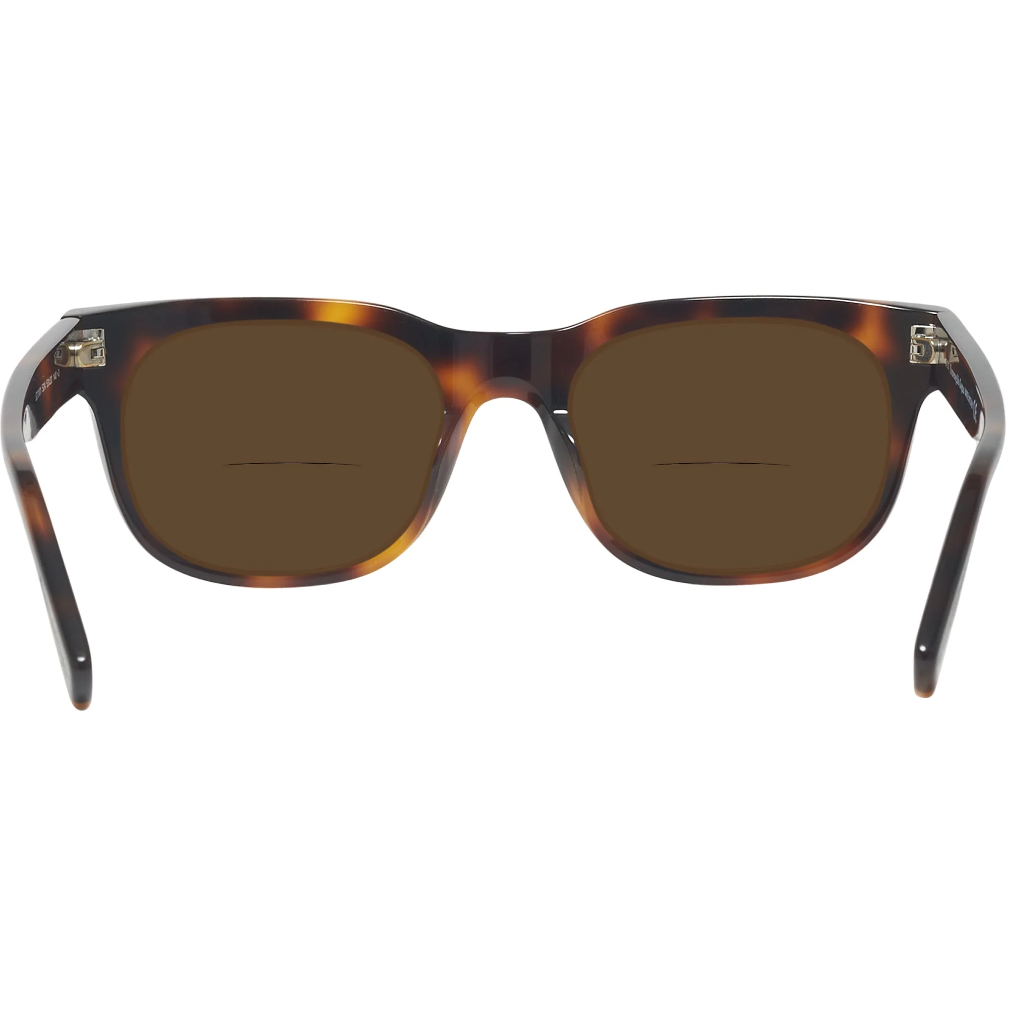 Zegna EZ0101 Bifocal Reading Sunglasses - Image 26