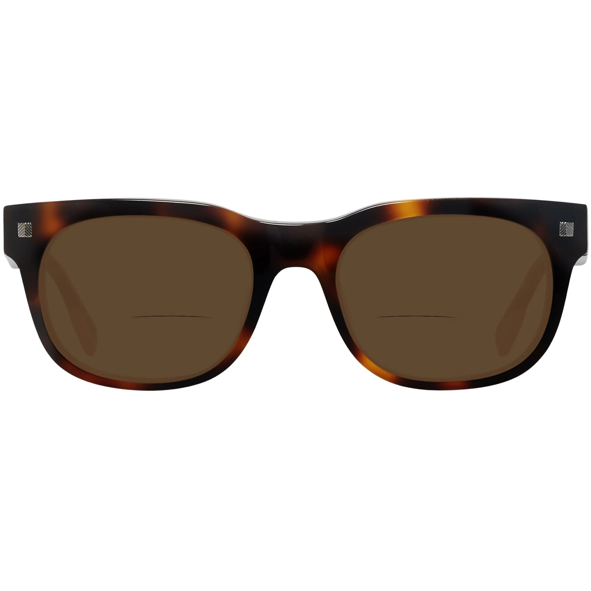 Zegna EZ0101 Bifocal Reading Sunglasses - Image 6