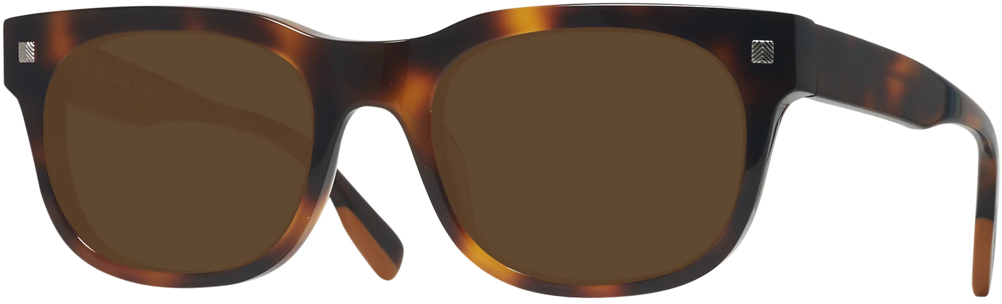 Zegna EZ0101 Progressive Reading Sunglasses - Image 15