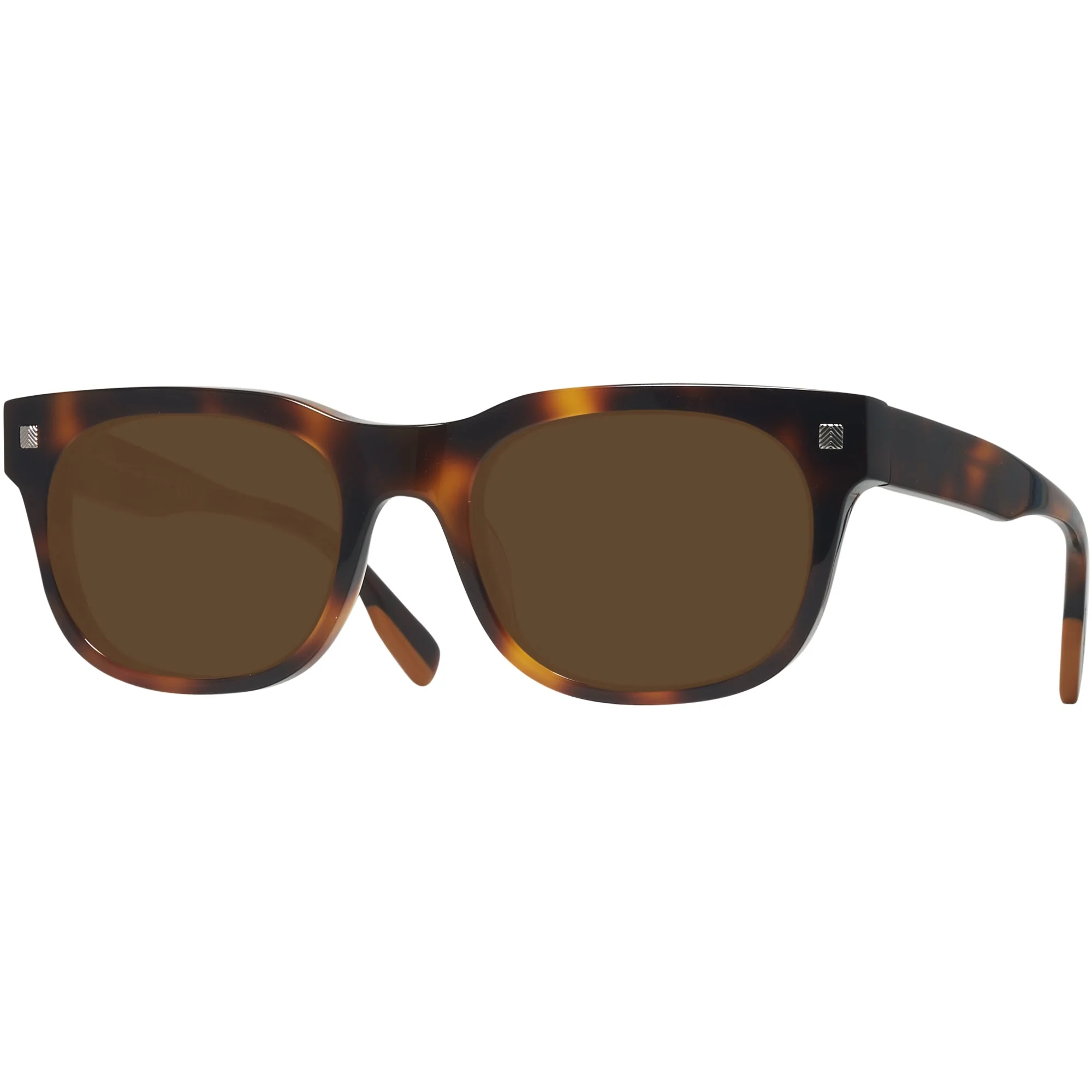 Zegna EZ0101 Progressive Reading Sunglasses - Image 5