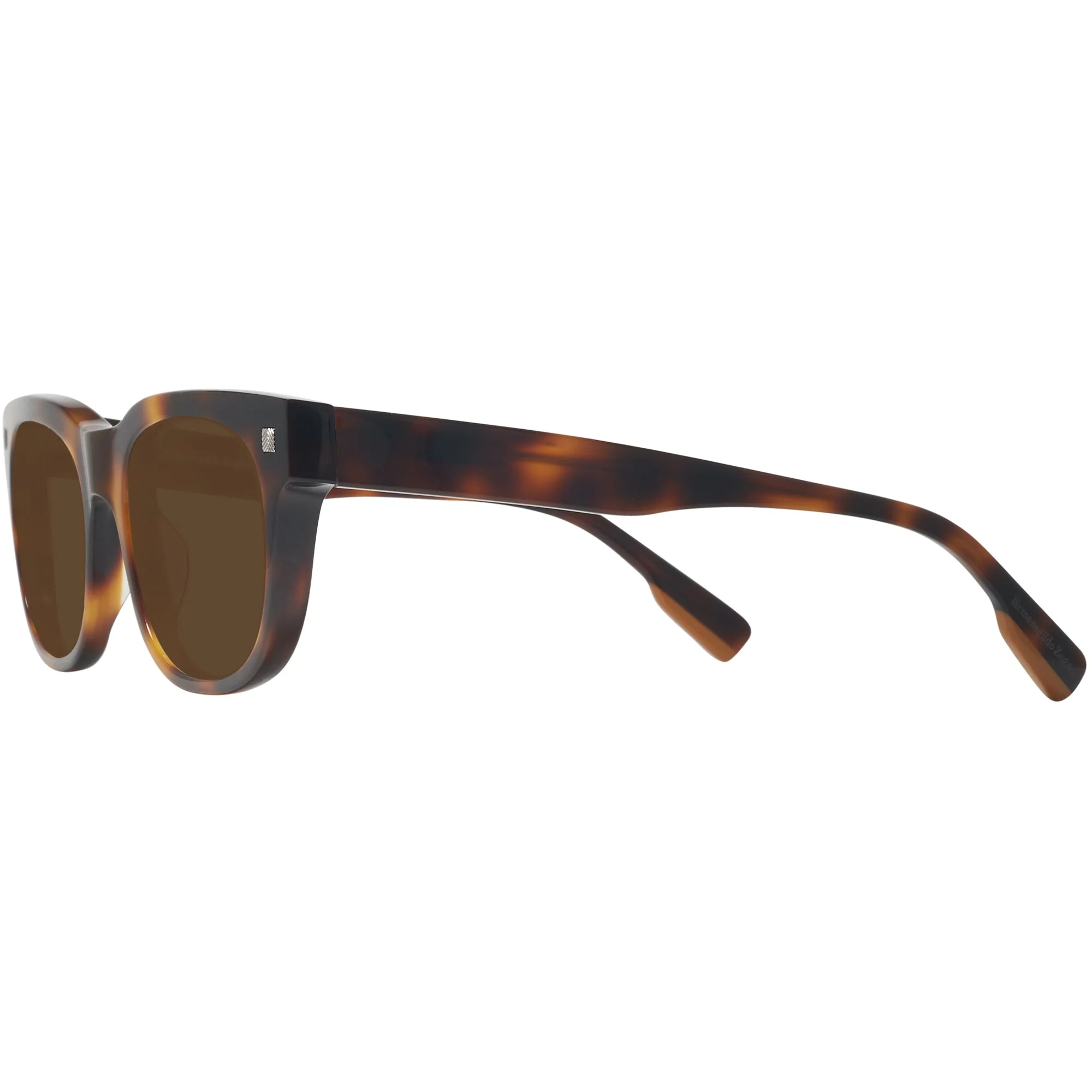 Zegna EZ0101 Progressive Reading Sunglasses - Image 7