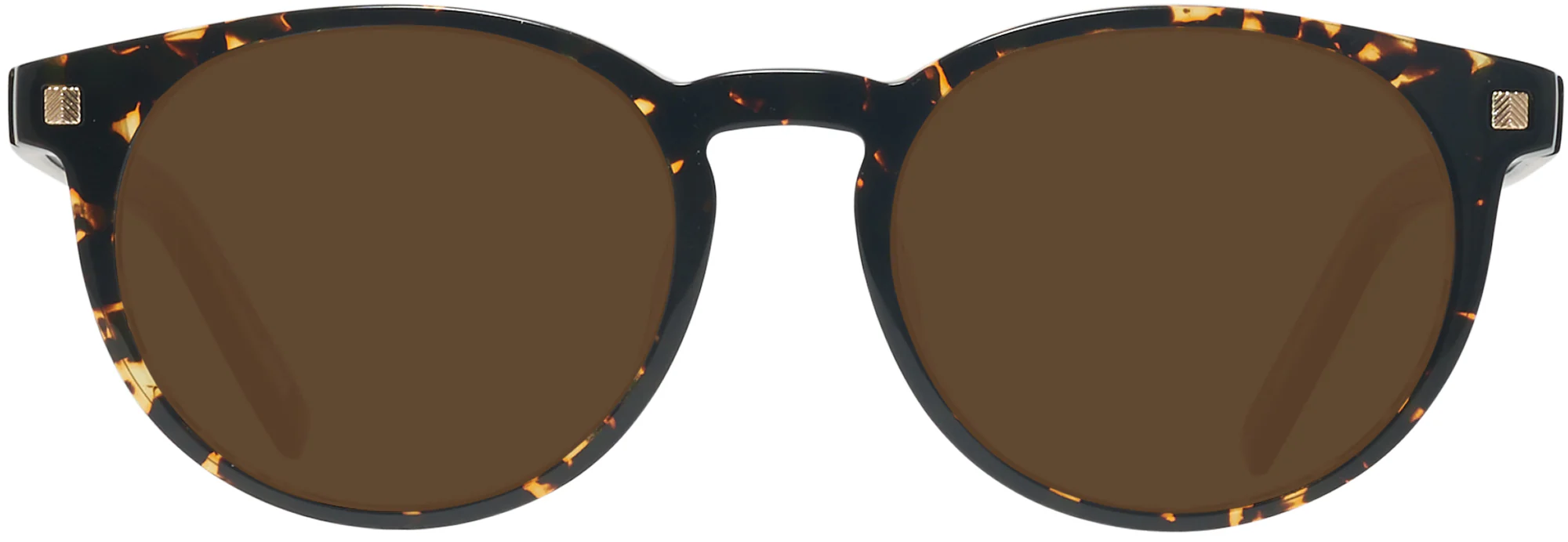 Zegna EZ0172-F Progressive Reading Sunglasses - Image 2
