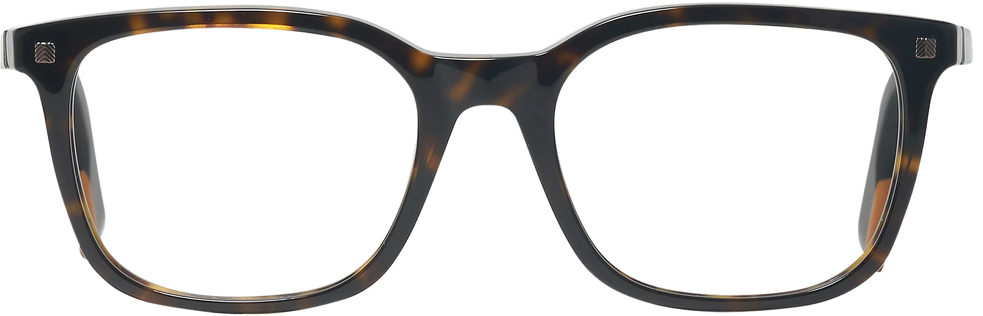 Zegna EZ5121 Computer Style Progressive - Image 2