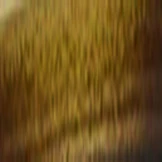 LZ-46 Bifocal - Image 14